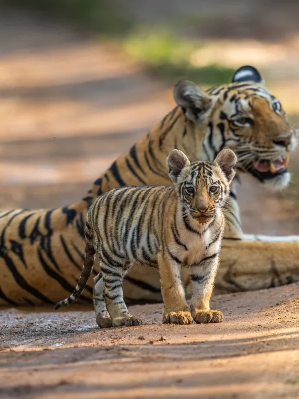 DSC00119-Enhanced-NR - Copy